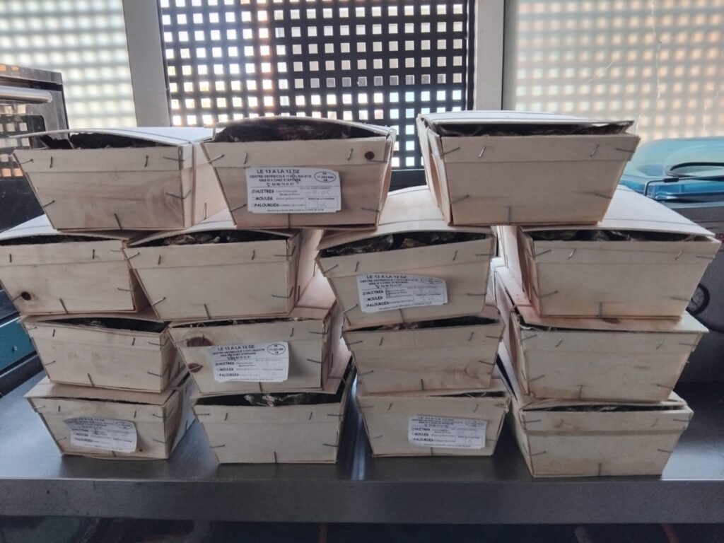 Caisses d'huîtres